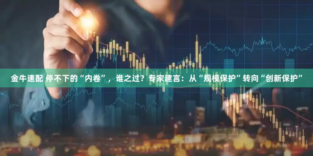 金牛速配 停不下的“内卷”，谁之过？专家建言：从“规模保护”转向“创新保护”